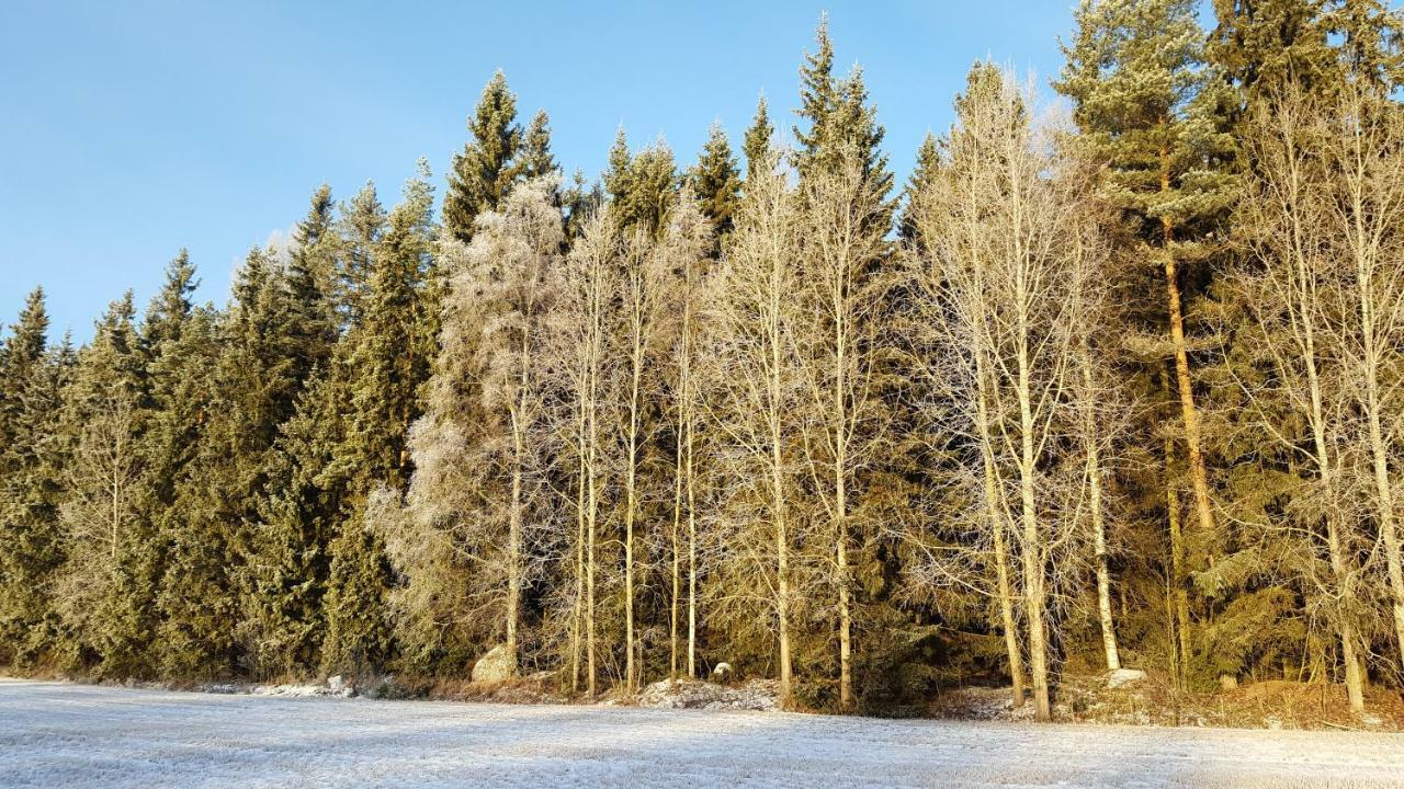 Hilupilttuu Villa Tammela Екстериор снимка